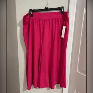 Kim Rogers Petite Capri Pants Hot Pink XL Womens
